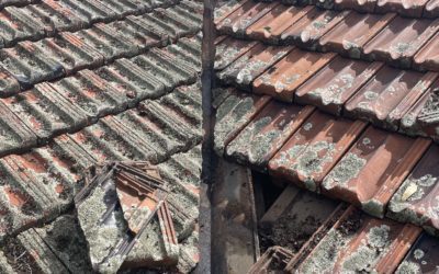 Quick and Efficient Response to a Rainwater Leak in Claremont