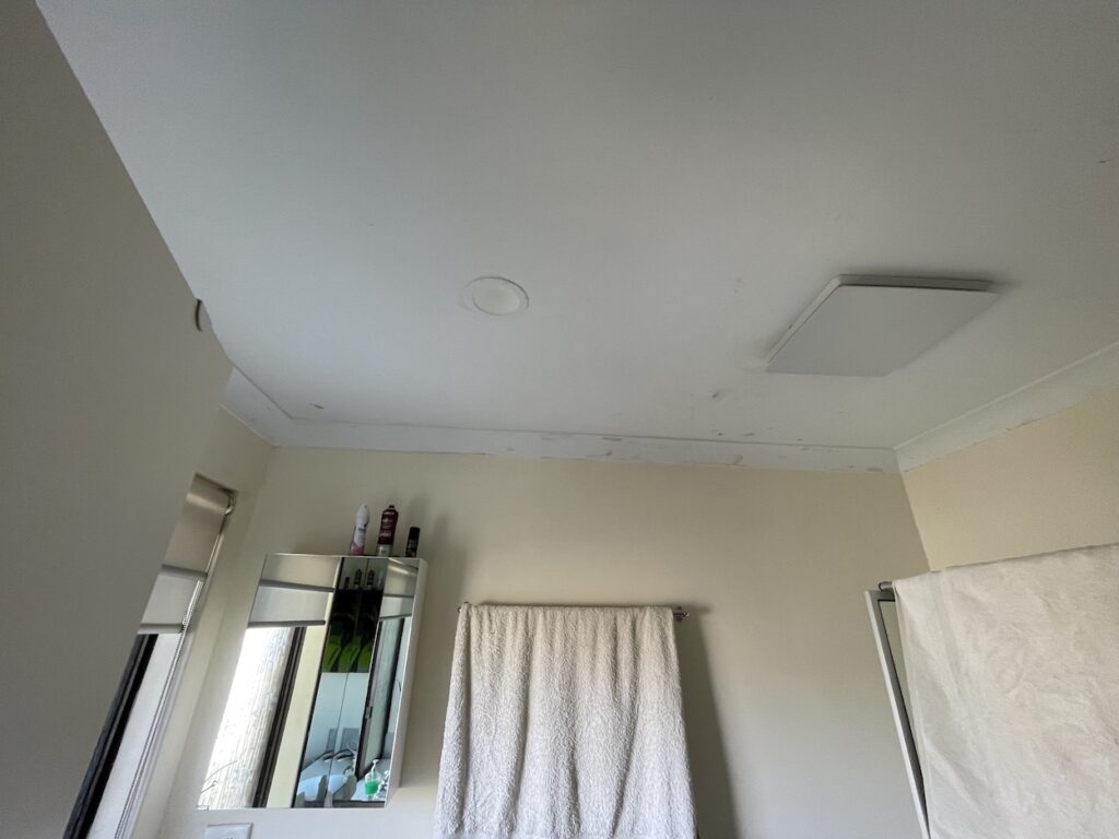 Rain water ceiling leak Mosman park