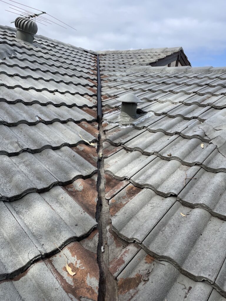 Rain Water Roof Leak repair in Mosman Park