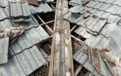 Rainwater Leak Investigation and Repair in Mosman Park