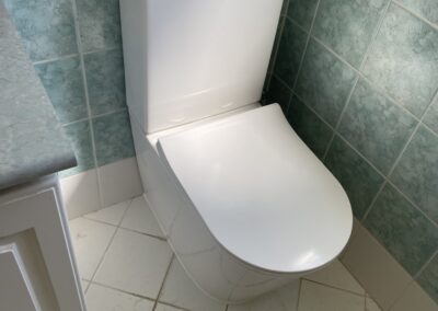 Mariginiup Toilet Replacement