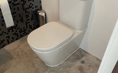 How We Fixed a Leaking Toilet in Trigg