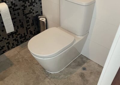 How We Fixed a Leaking Toilet in Trigg